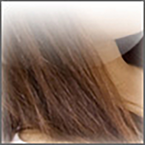 スターライトメニューのご案内へリンクします